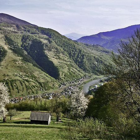 Dream Hostel Carpathians ราคิฟ ภายนอก รูปภาพ