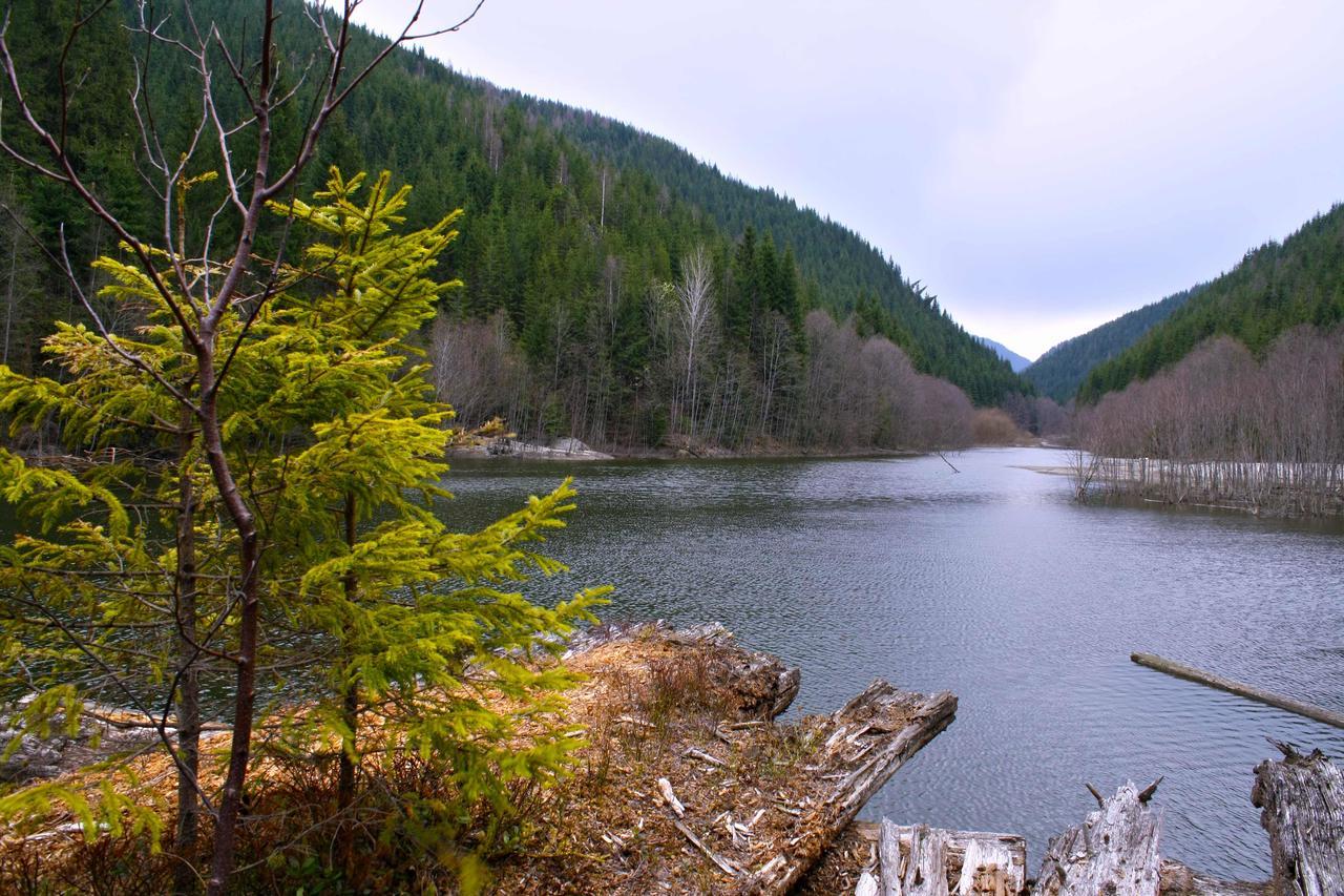 Dream Hostel Carpathians ราคิฟ ภายนอก รูปภาพ